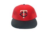 Minnesota Twins